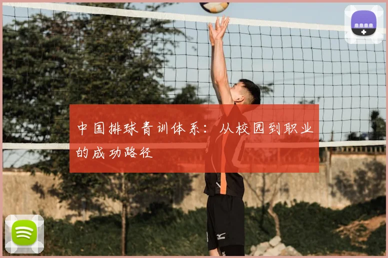 中国排球青训体系：从校园到职业的成功路径