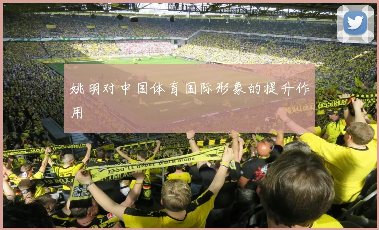 姚明对中国体育国际形象的提升作用