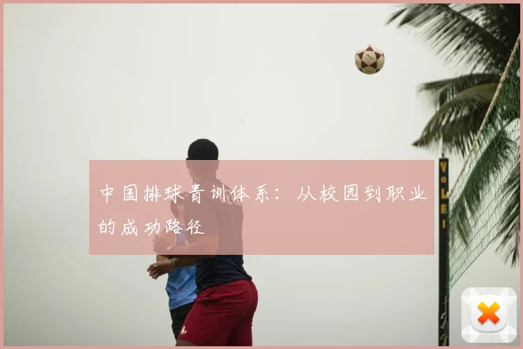 中国排球青训体系：从校园到职业的成功路径