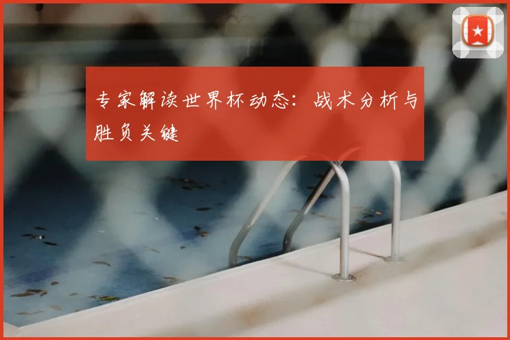 专家解读世界杯动态:战术分析与胜负关键